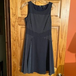 The Limited Polkadot Dress